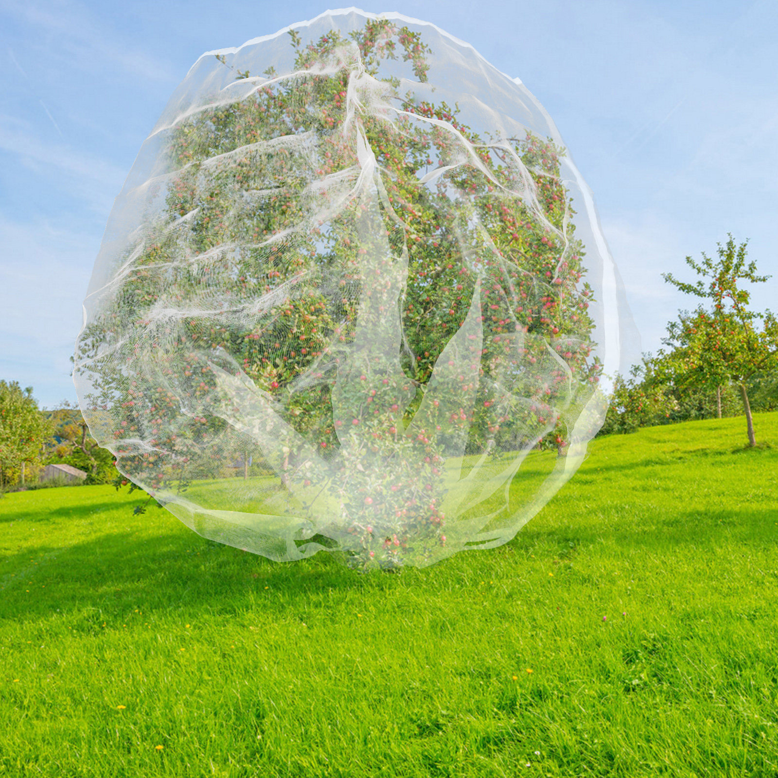 Fruit Tree Net Bag Drawstring  - Mesh Net Bag 리뷰 및 가격