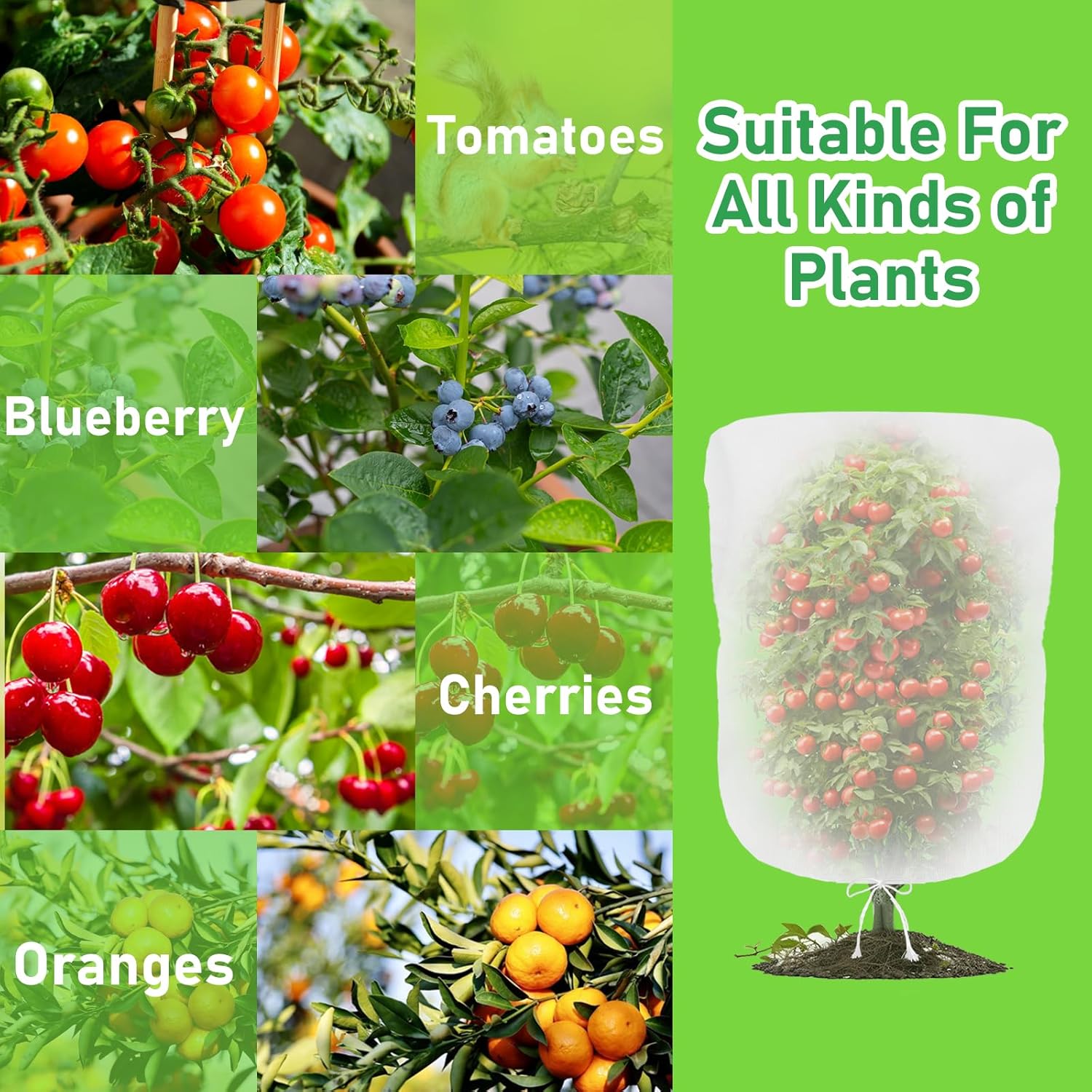 Bird Netting for Garden Bluebe - Mesh Net Bag 리뷰 및 가격