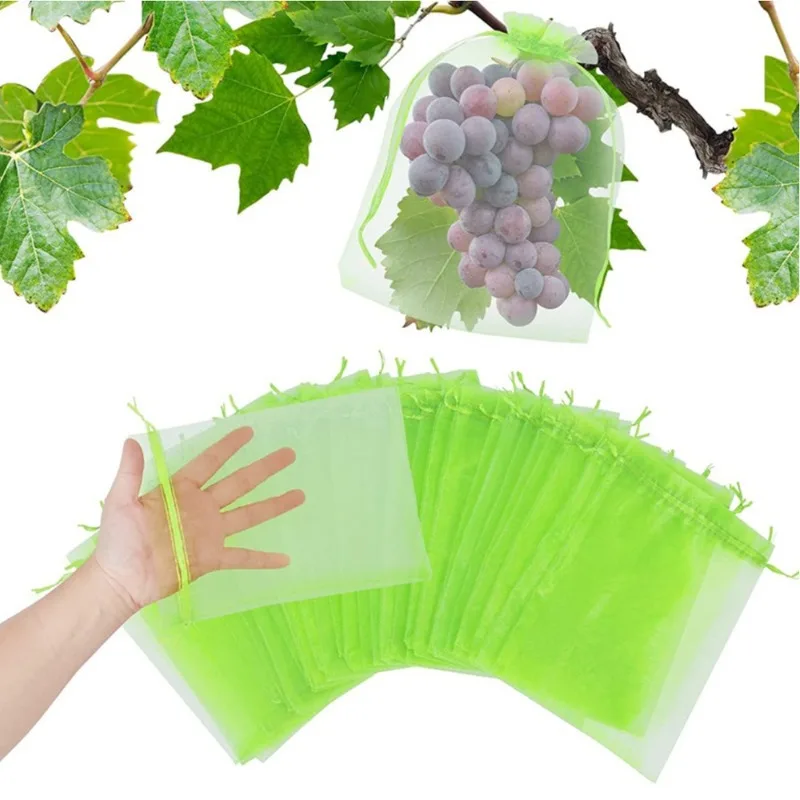 50pcs 20x30cm Fruit Protection - Mesh Net Bag 리뷰 및 가격