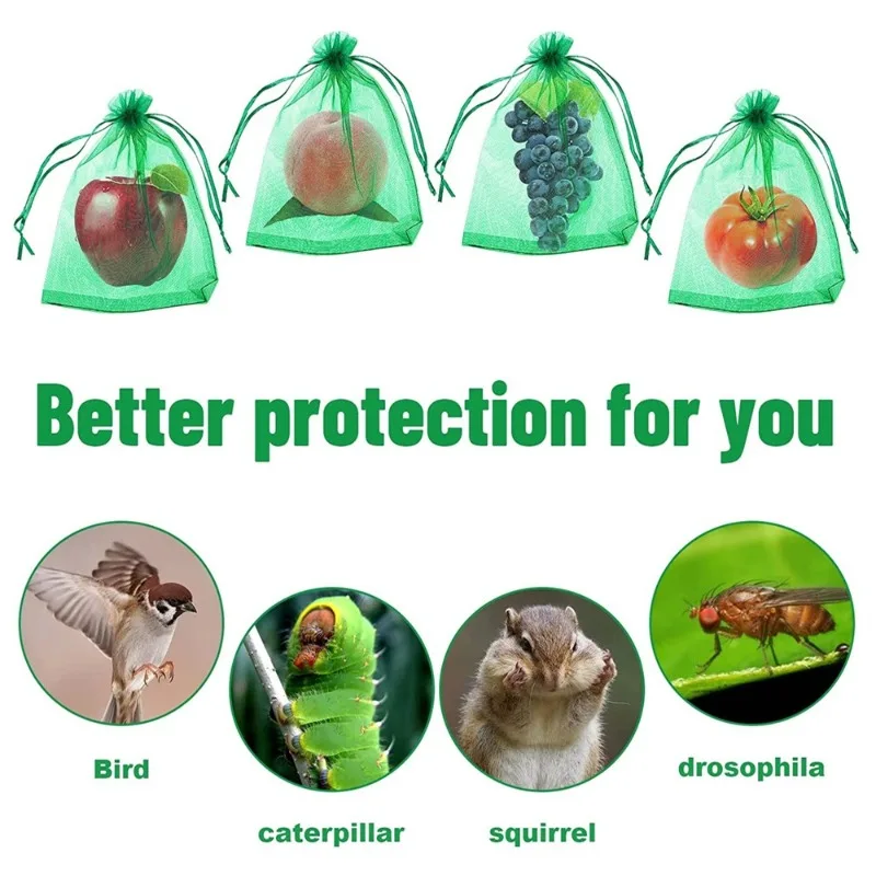 50pcs 20x30cm Fruit Protection - Mesh Net Bag 리뷰 및 가격