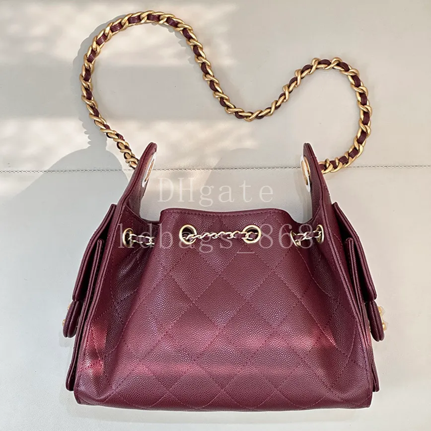 Mirror quality 25 Mini Hobo ba - Women Bags Designer 리뷰 및 가격